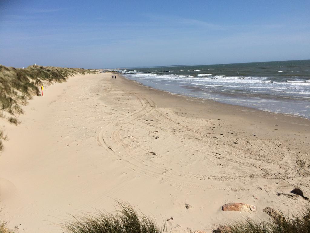 Bearlough Self Catering Holiday Home Rosslare Harbour Ngoại thất bức ảnh